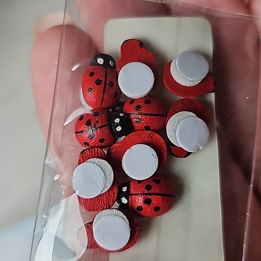 Set of 19 red ladybugs